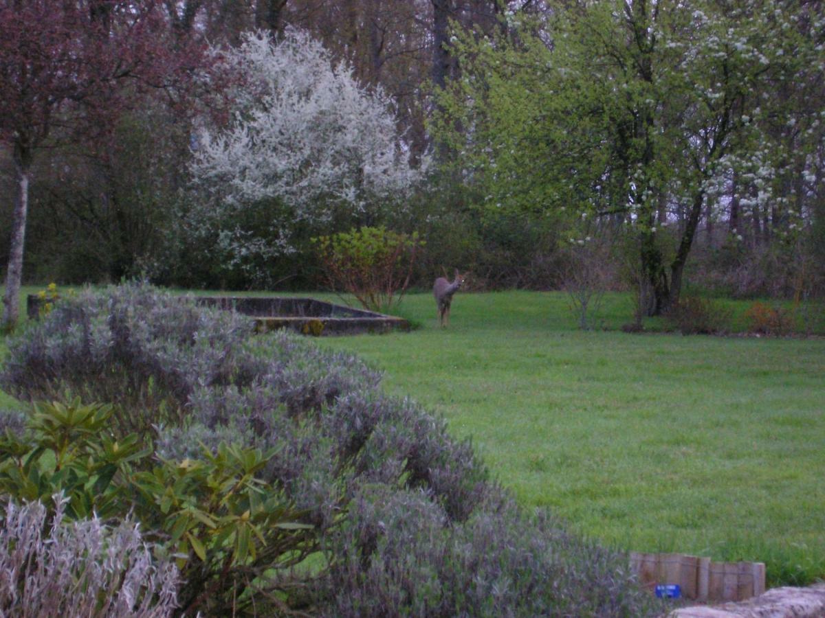 Les Sapins Hotel Vitry-aux-Loges Buitenkant foto